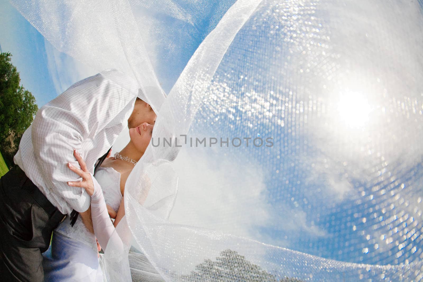 covered with veil by vsurkov