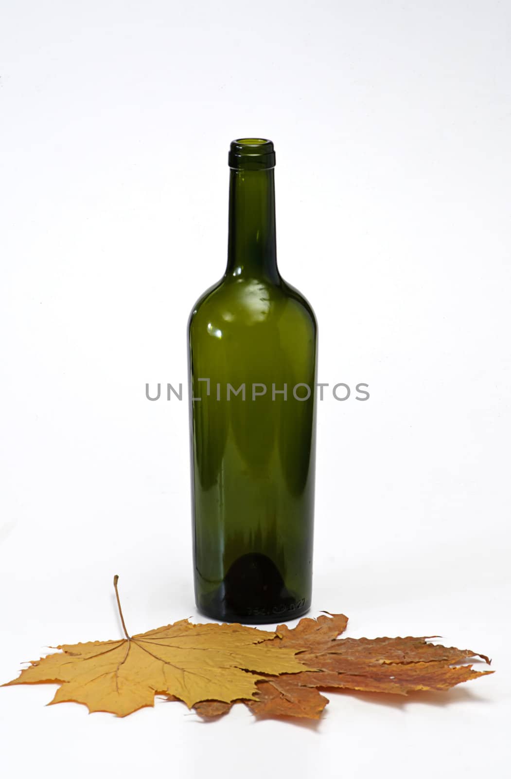 bottle with leaves  isolated on white