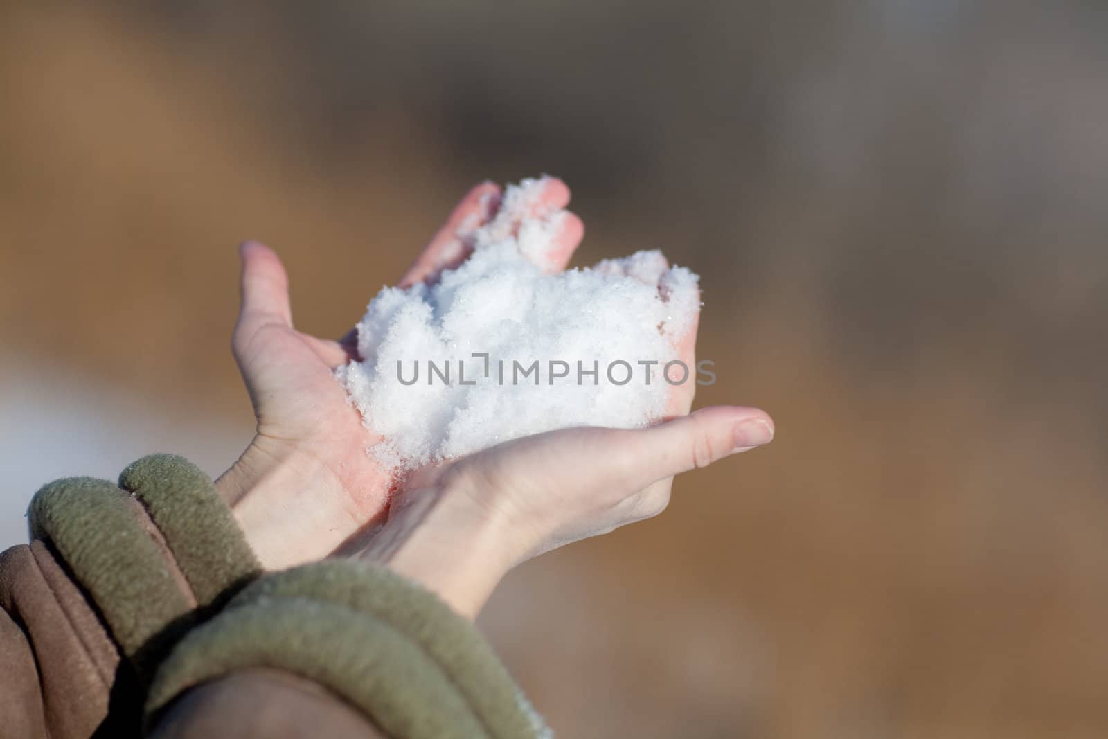 snow in hands of the girl