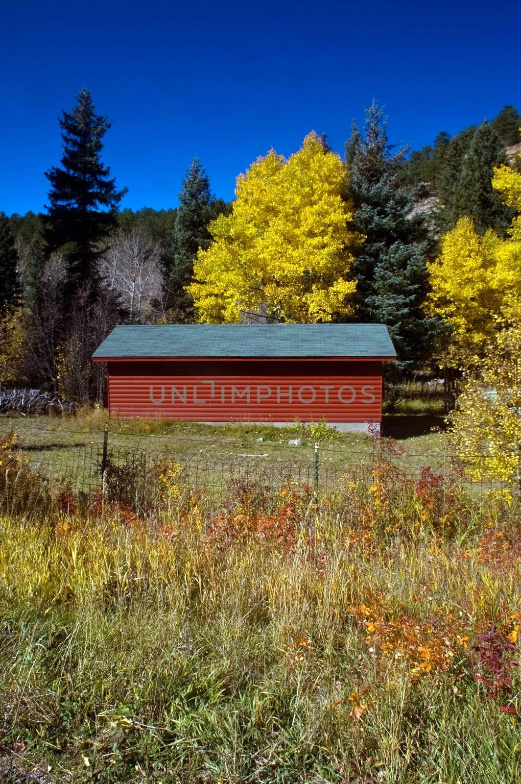 Red Country Barn and Autumn Trees by jdebordphoto