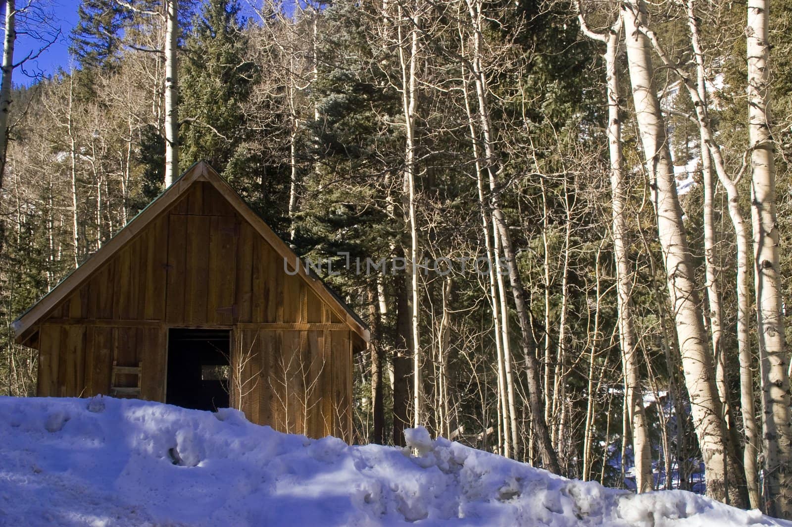 Snow Covered Cabin in Colorado by jdebordphoto