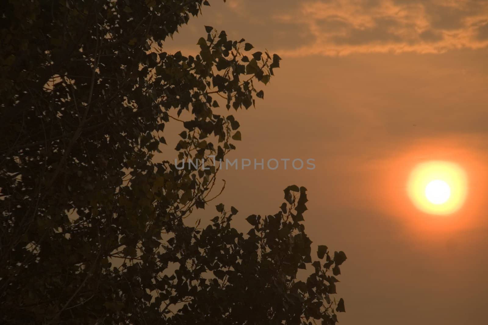 A bright burning orange sky begins the day