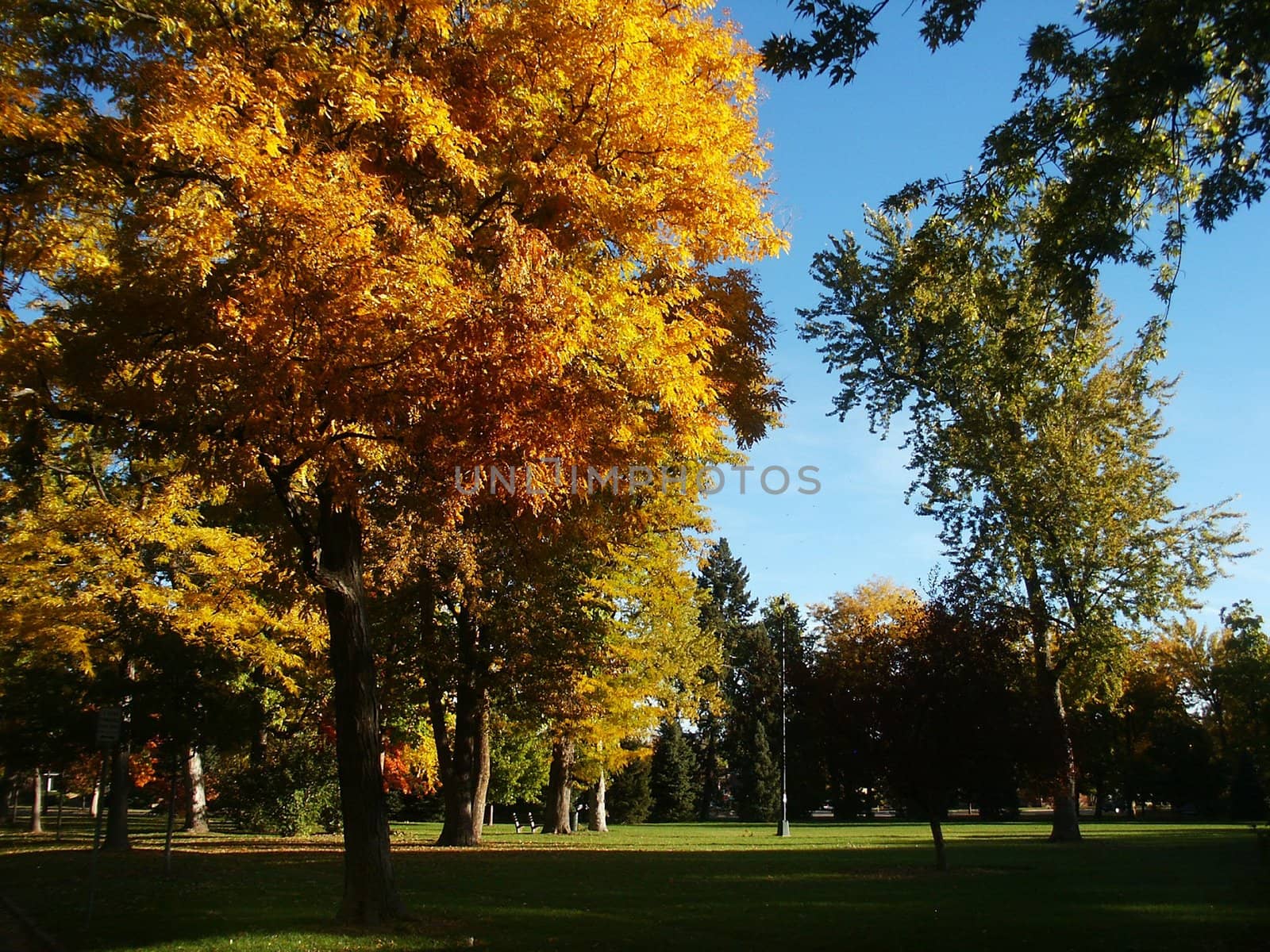 A city park in Denver, Colorado duting Autumn season with changing colors