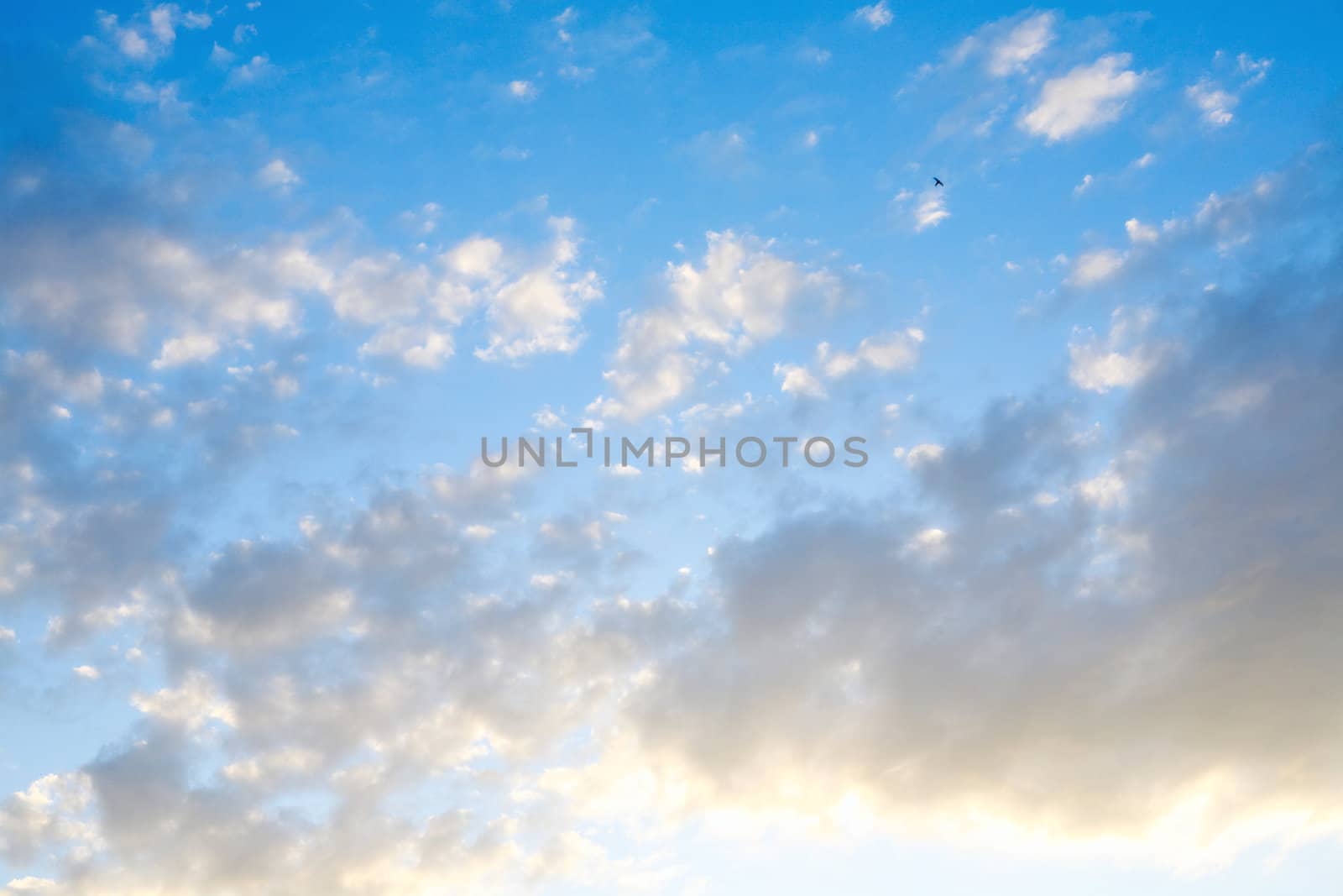 blue sky and white clouds