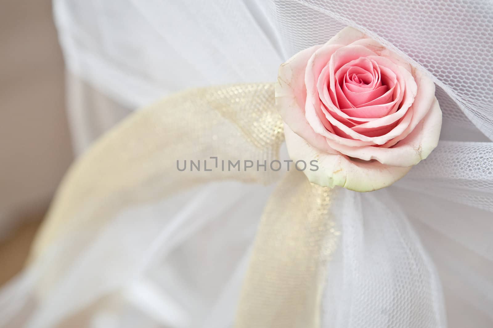 decoration of a table with rose