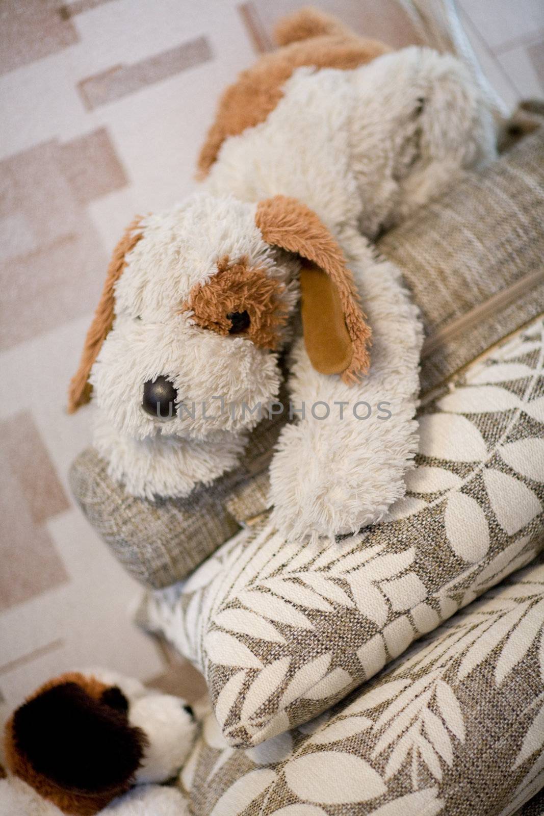a toy dog in the room
