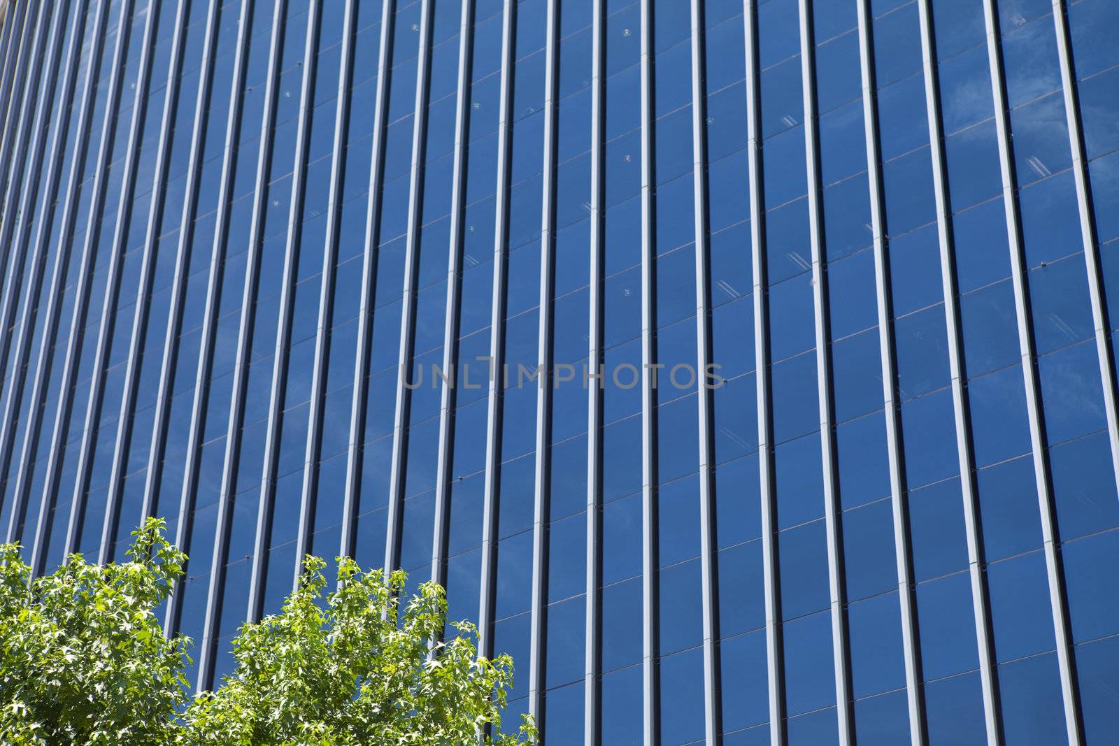 windows of skyscraper of the city