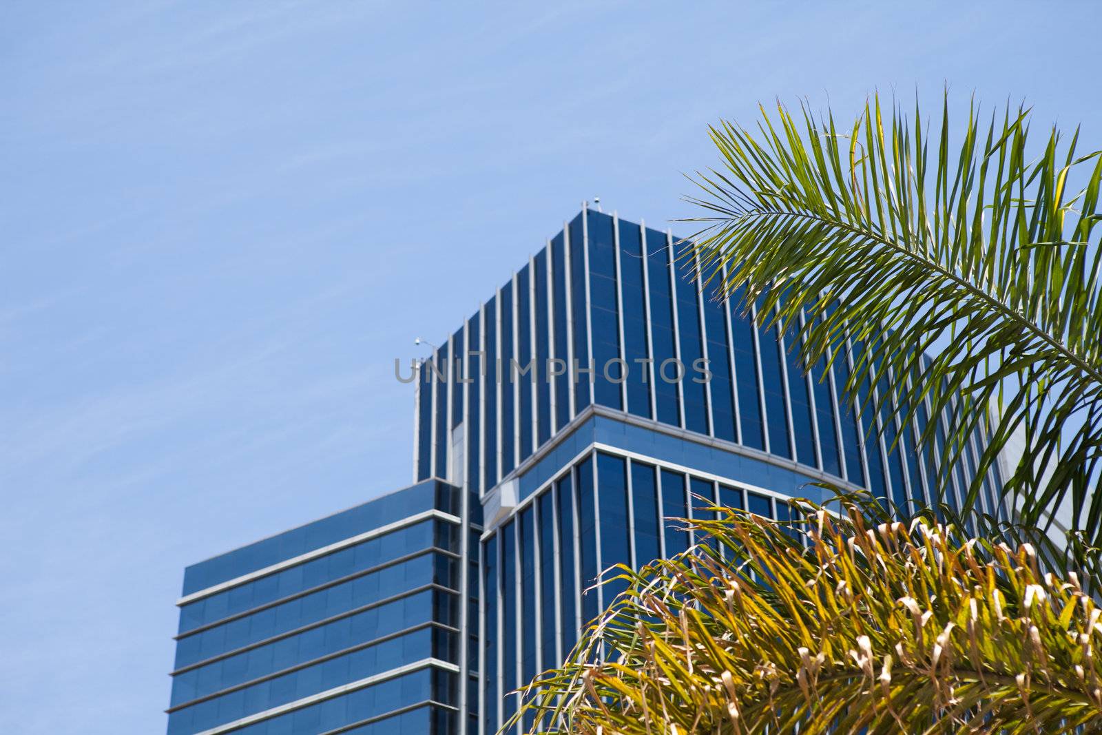 view to the sky and skyscrapers of the city