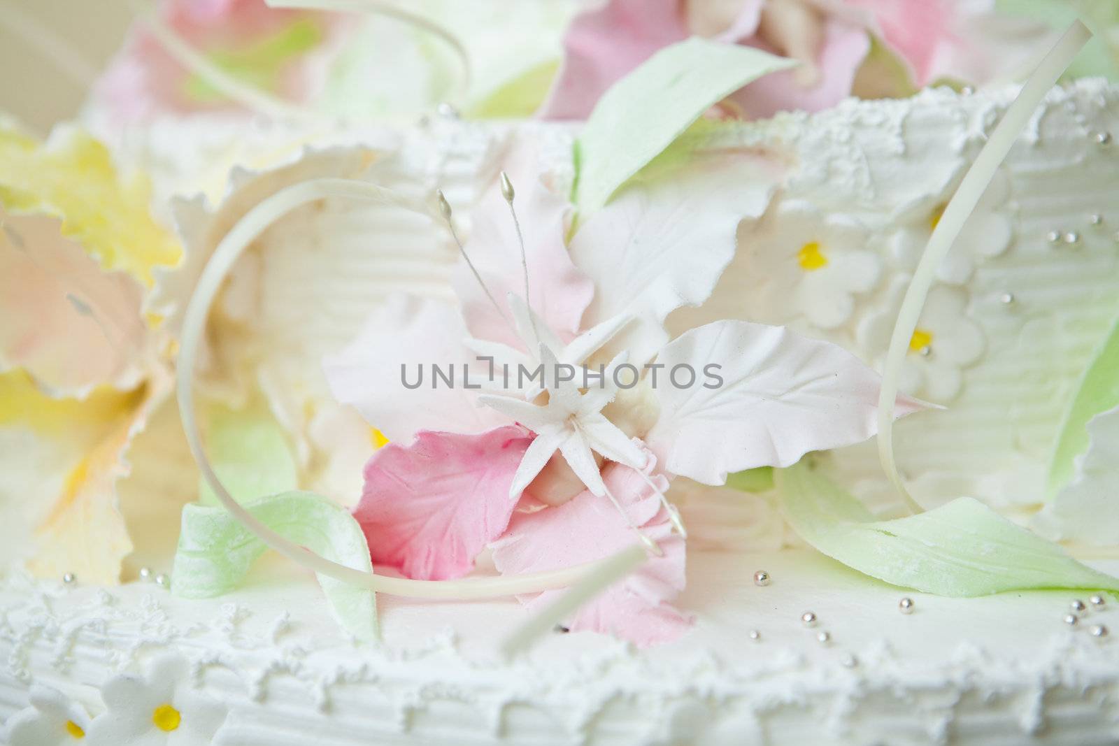 cake of bride and groom