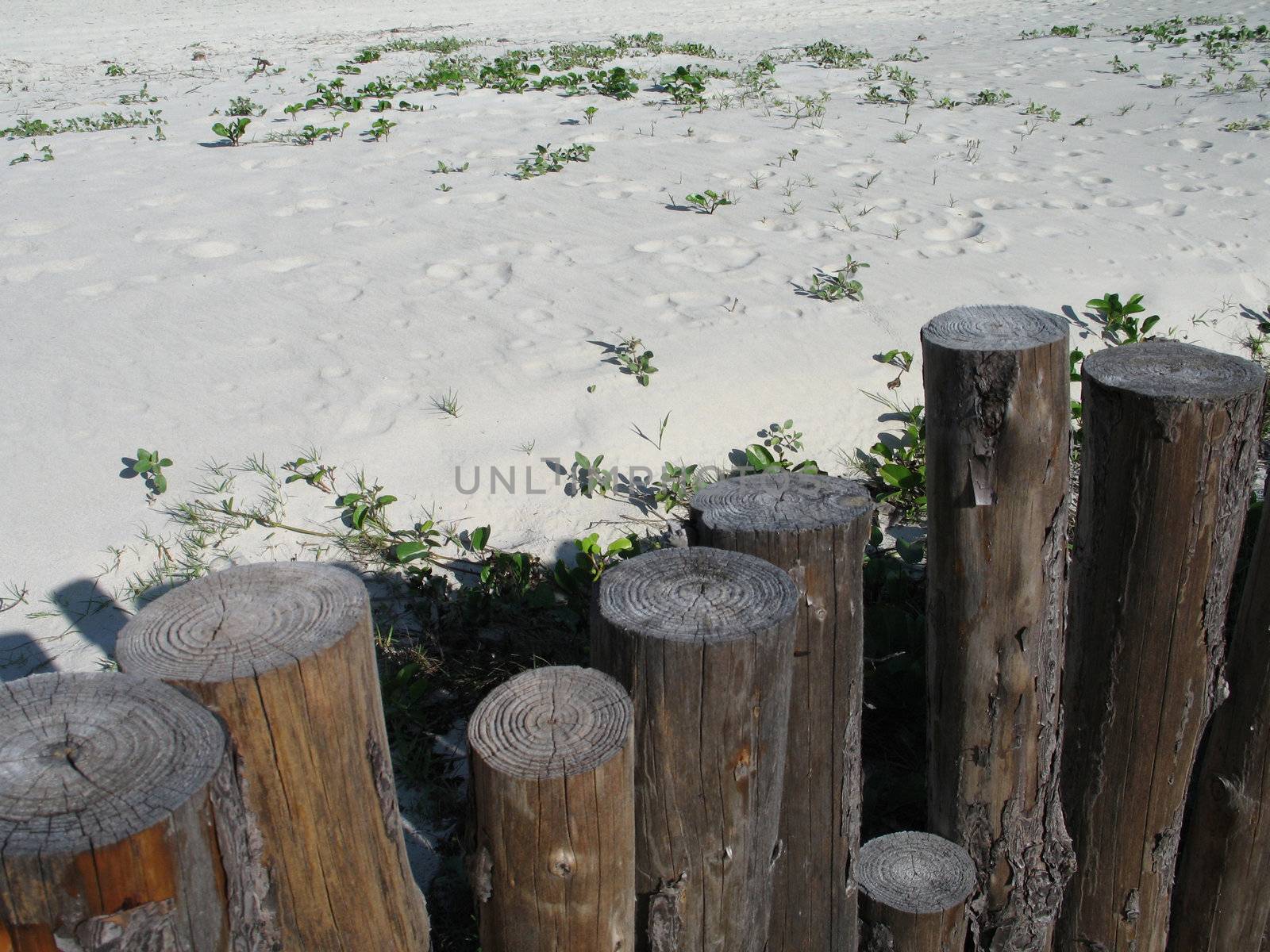 sandy beach and fence by mmm