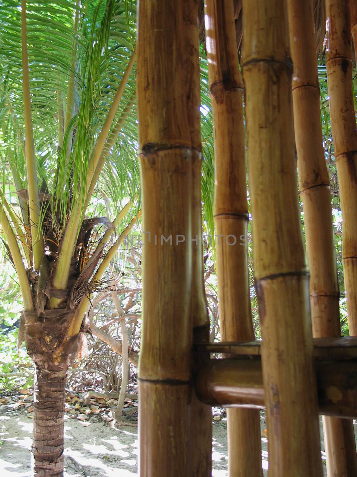 dry bamboo structure