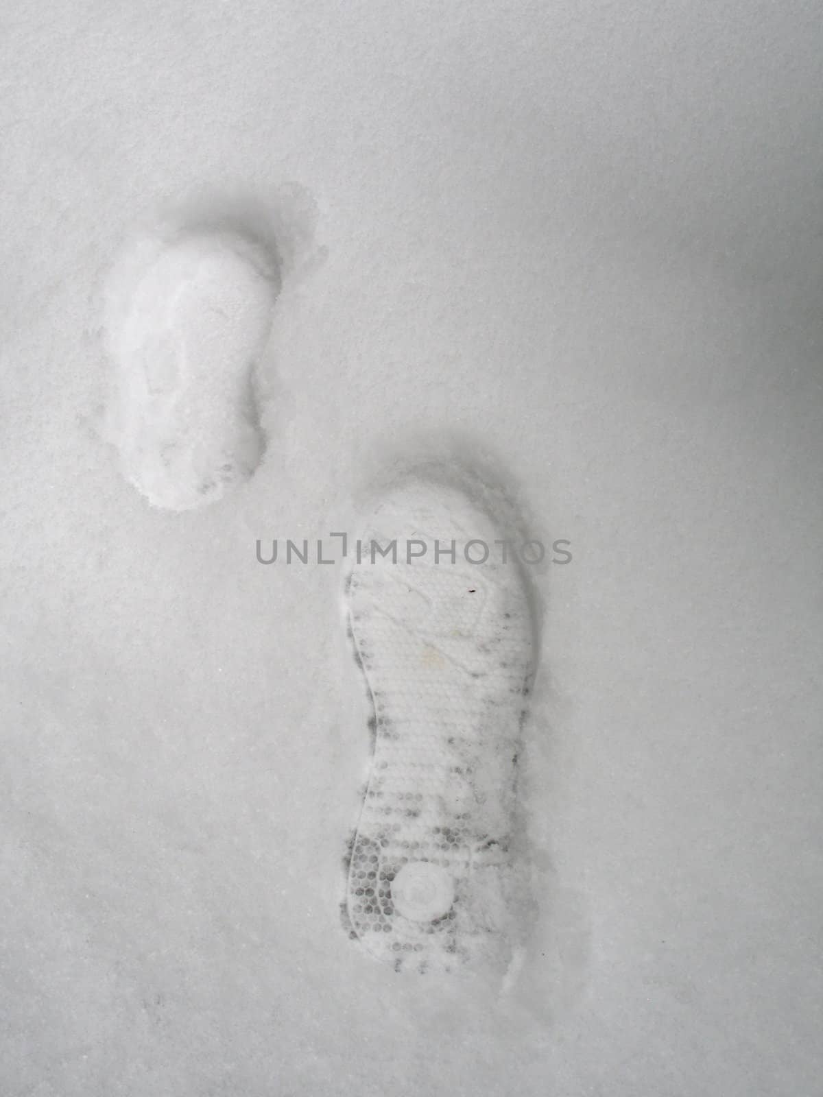 prints in the snow by mmm