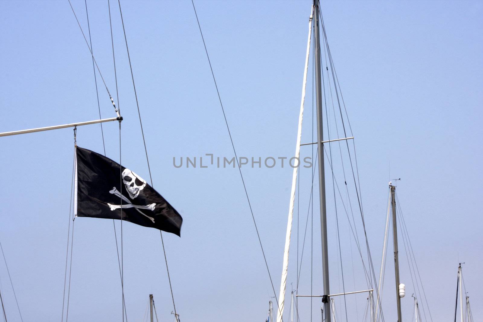 Pirate flag in the wind