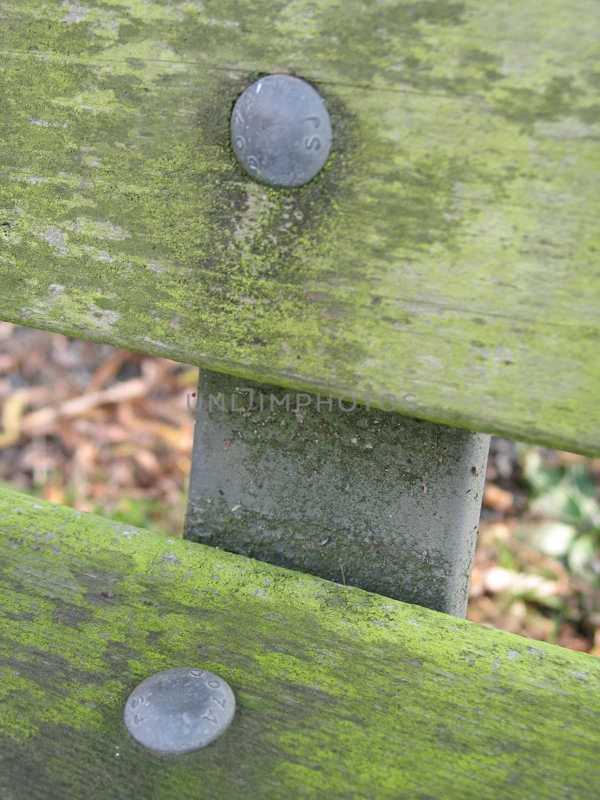 bench close-up
