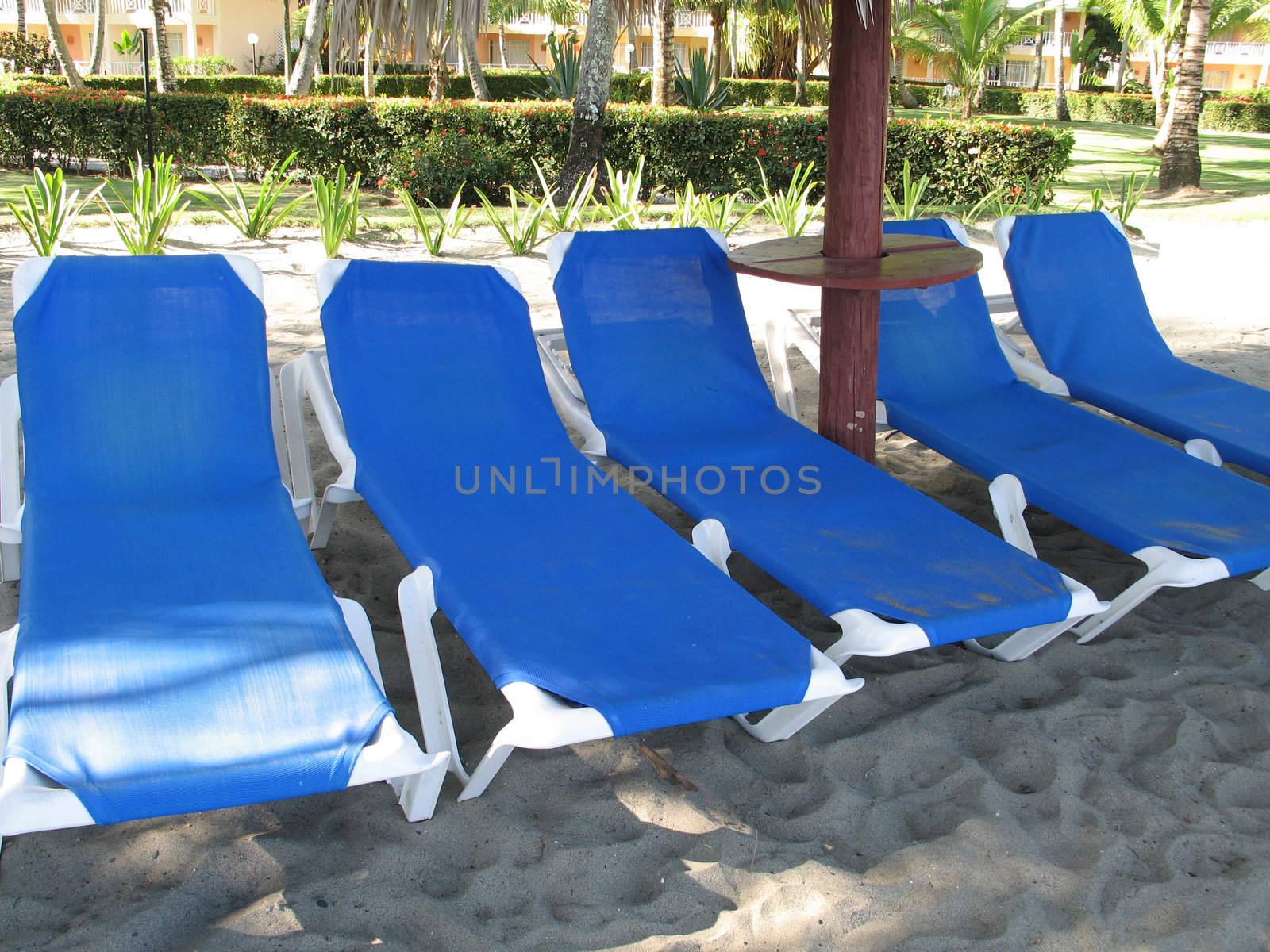 tanning chairs on the beach