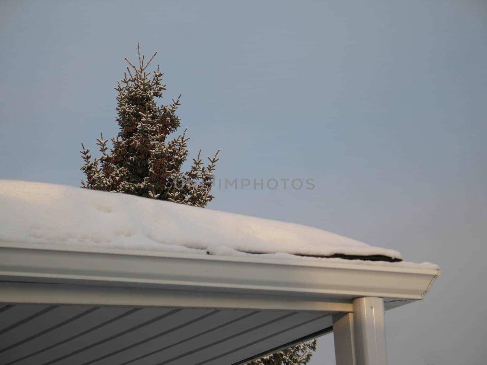 snow on a roof by mmm