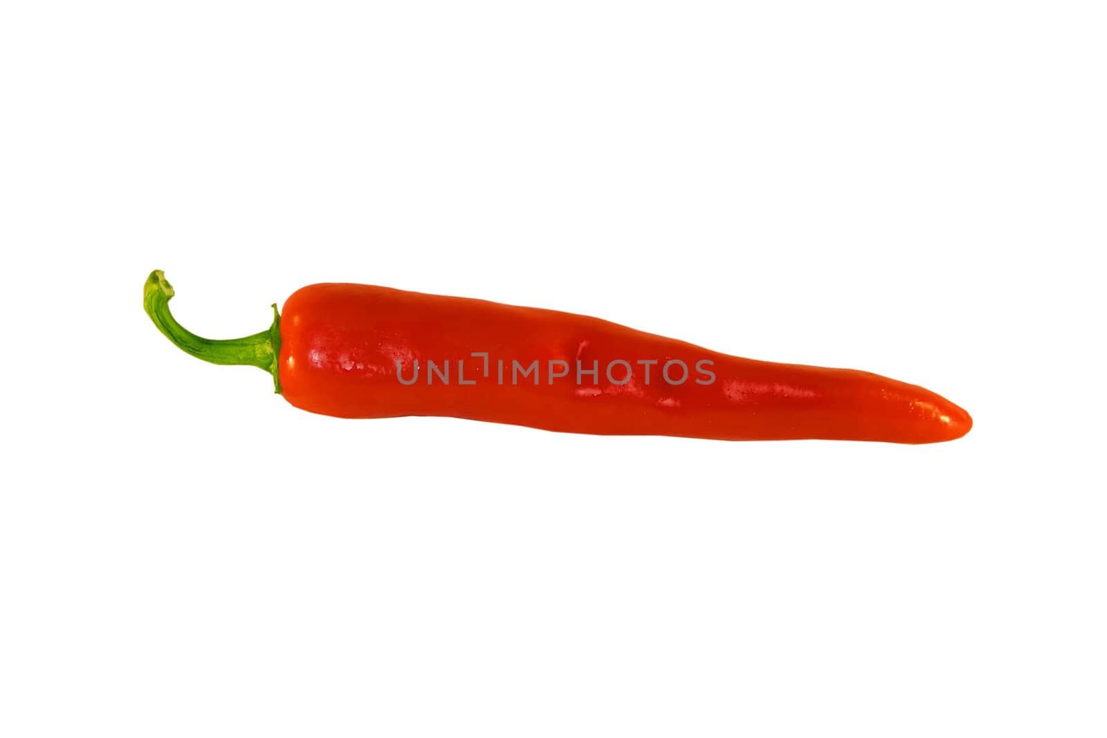 red hot chili pepper isolated over white