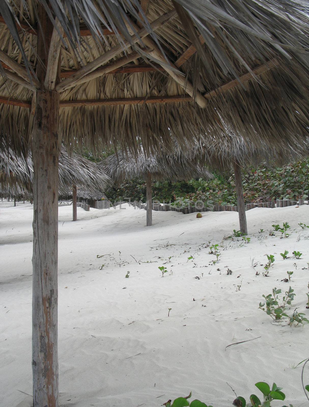 under a palapa by mmm