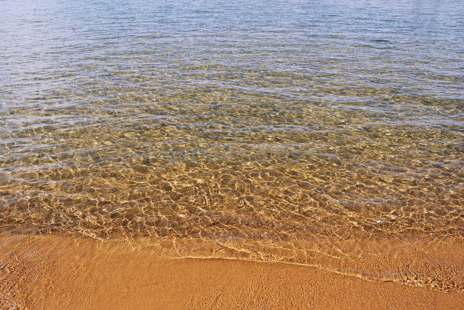 view on a clear water of Lake Tahoe