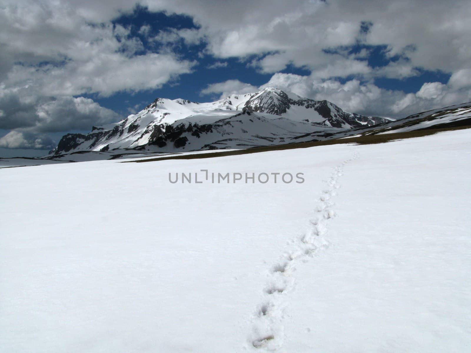 andscape; background, traces, blue sky