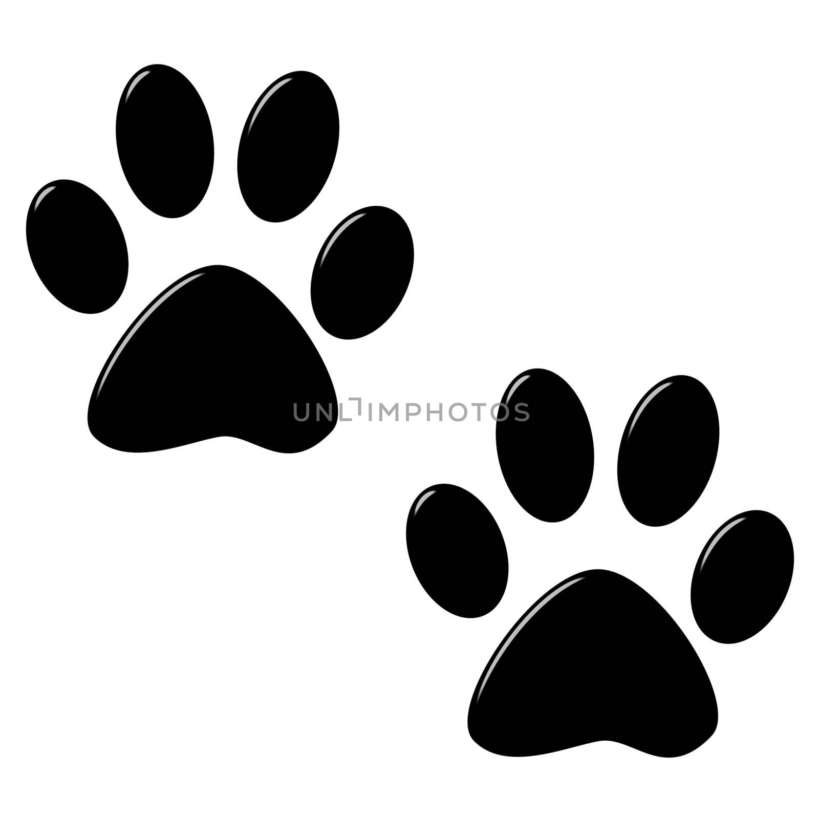 3d cat foot prints isolated in white