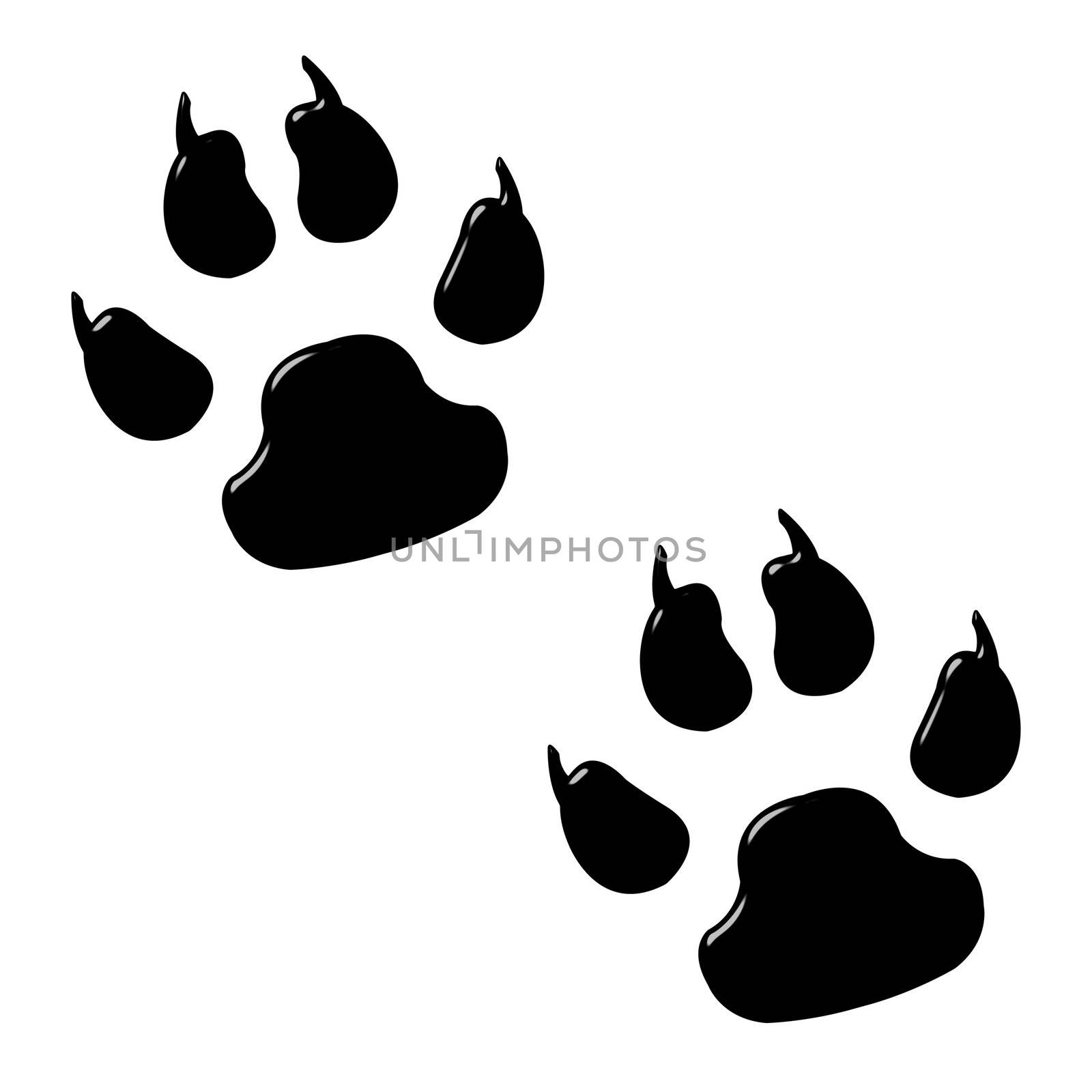 3d dog foot prints isolated in white