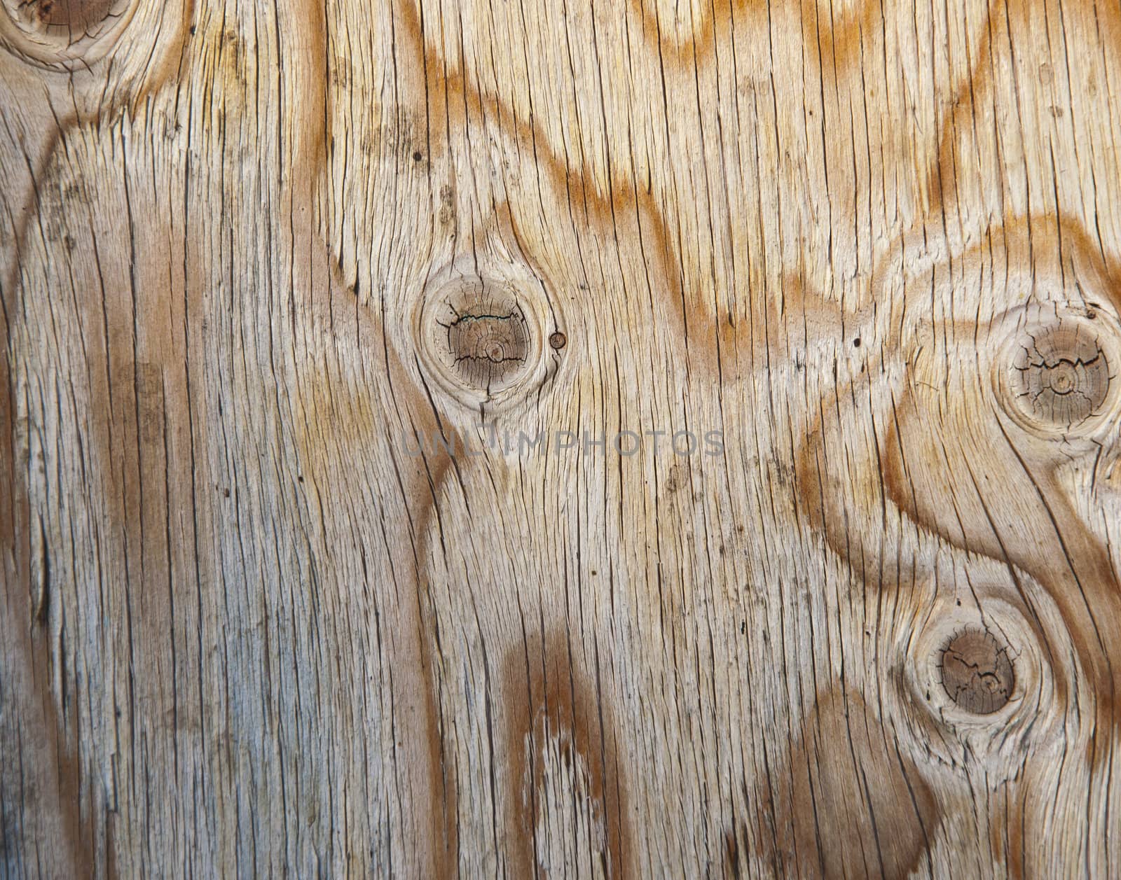 old wooden weathered structure for your background. 