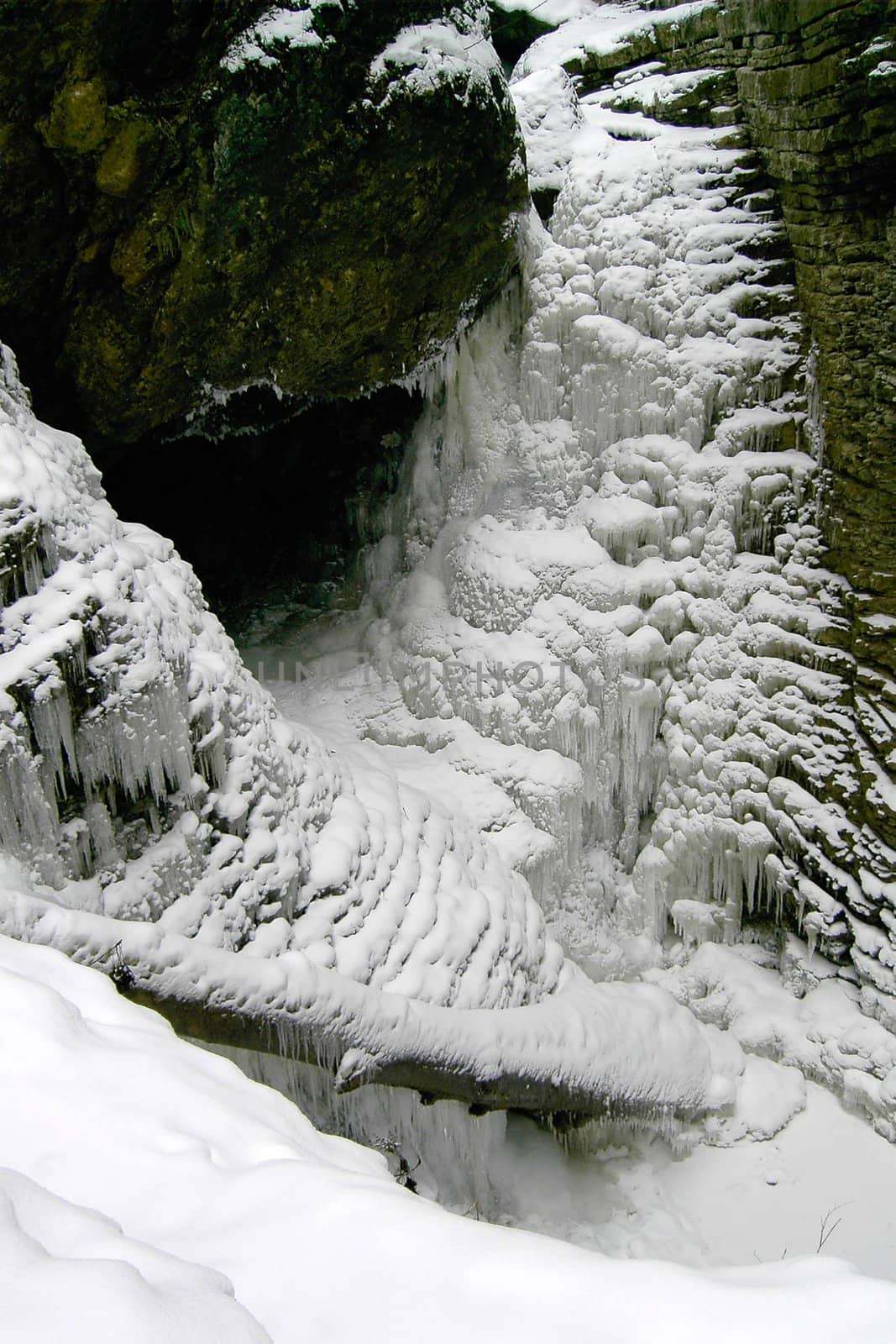 an ice floe; icicles; landscape; inside; waterscape; wildlife