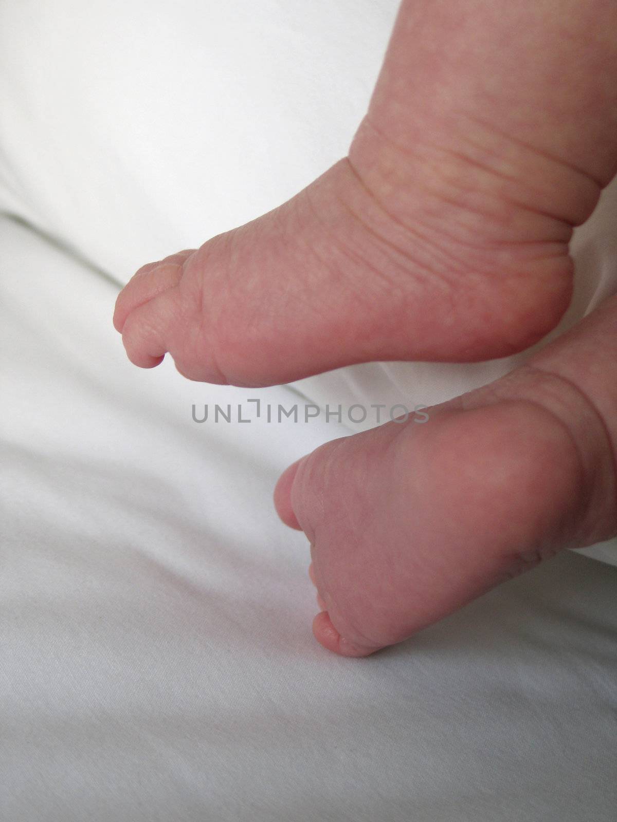 baby feet by mmm