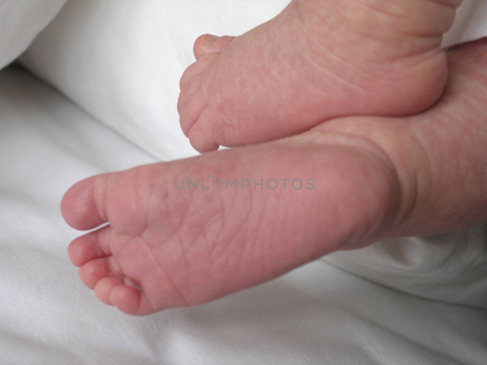 baby feet by mmm