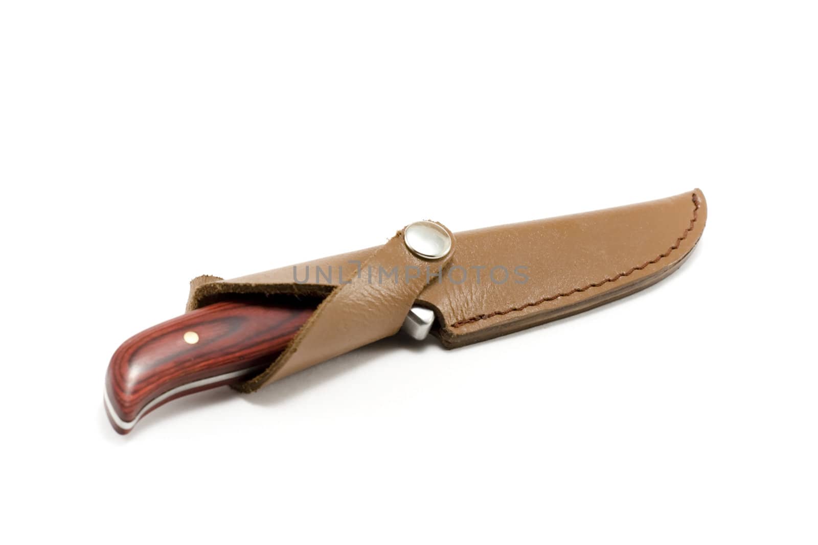 Knife in scabbard insulated on white background