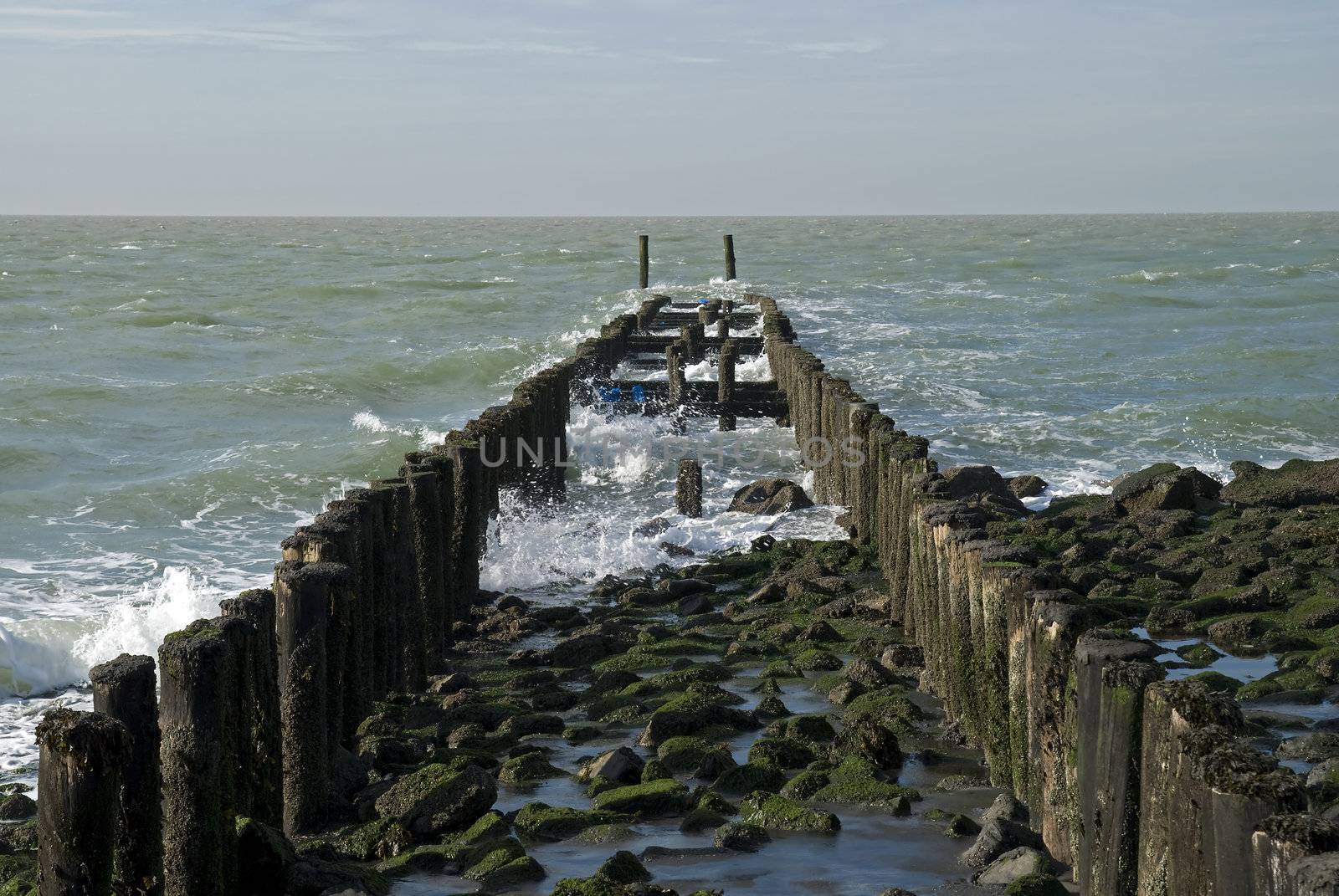 Beach with wooden poles on a beach in Zeeland,Netherlands