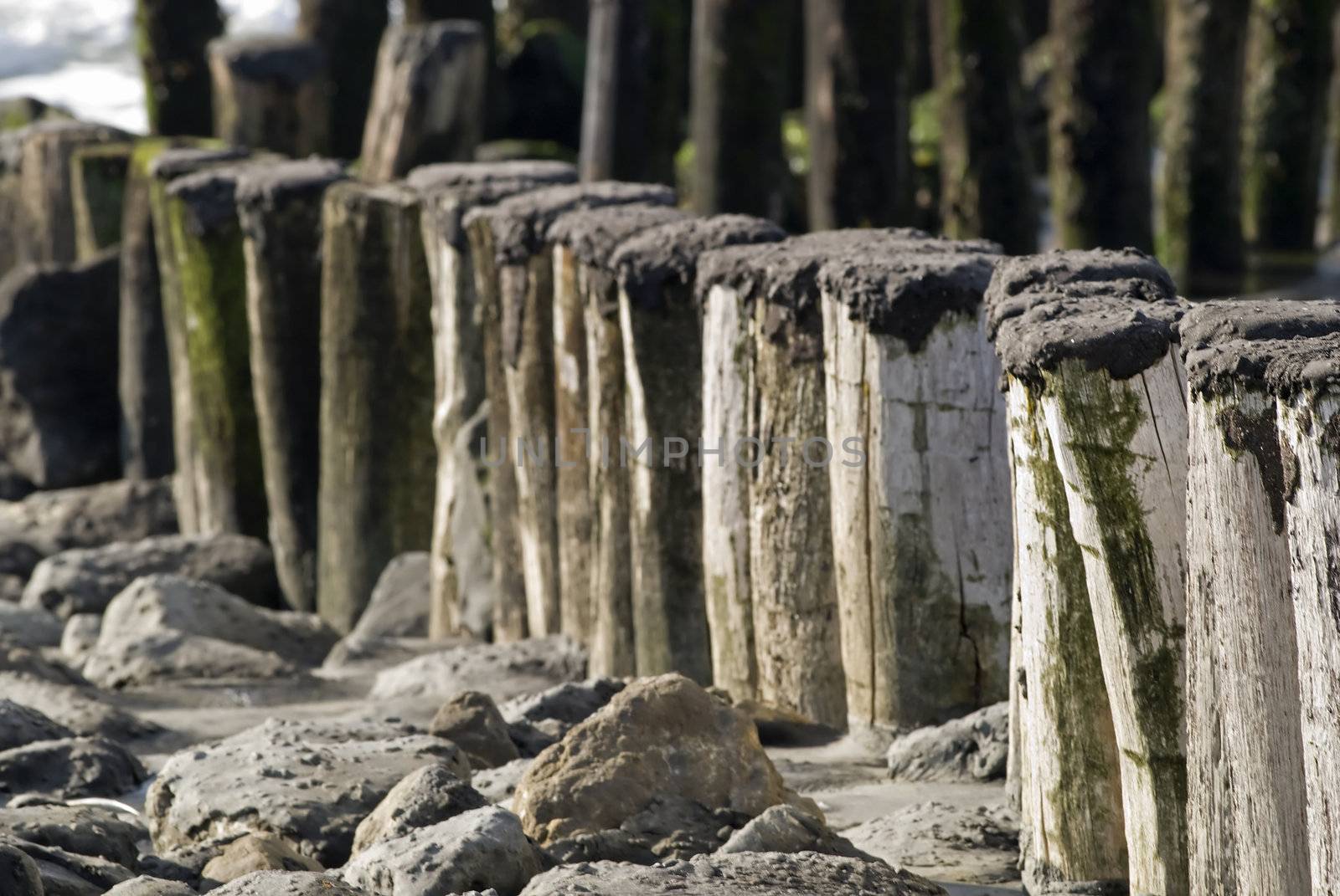 North Sea beach with breakwater,Netherlands by Gertje