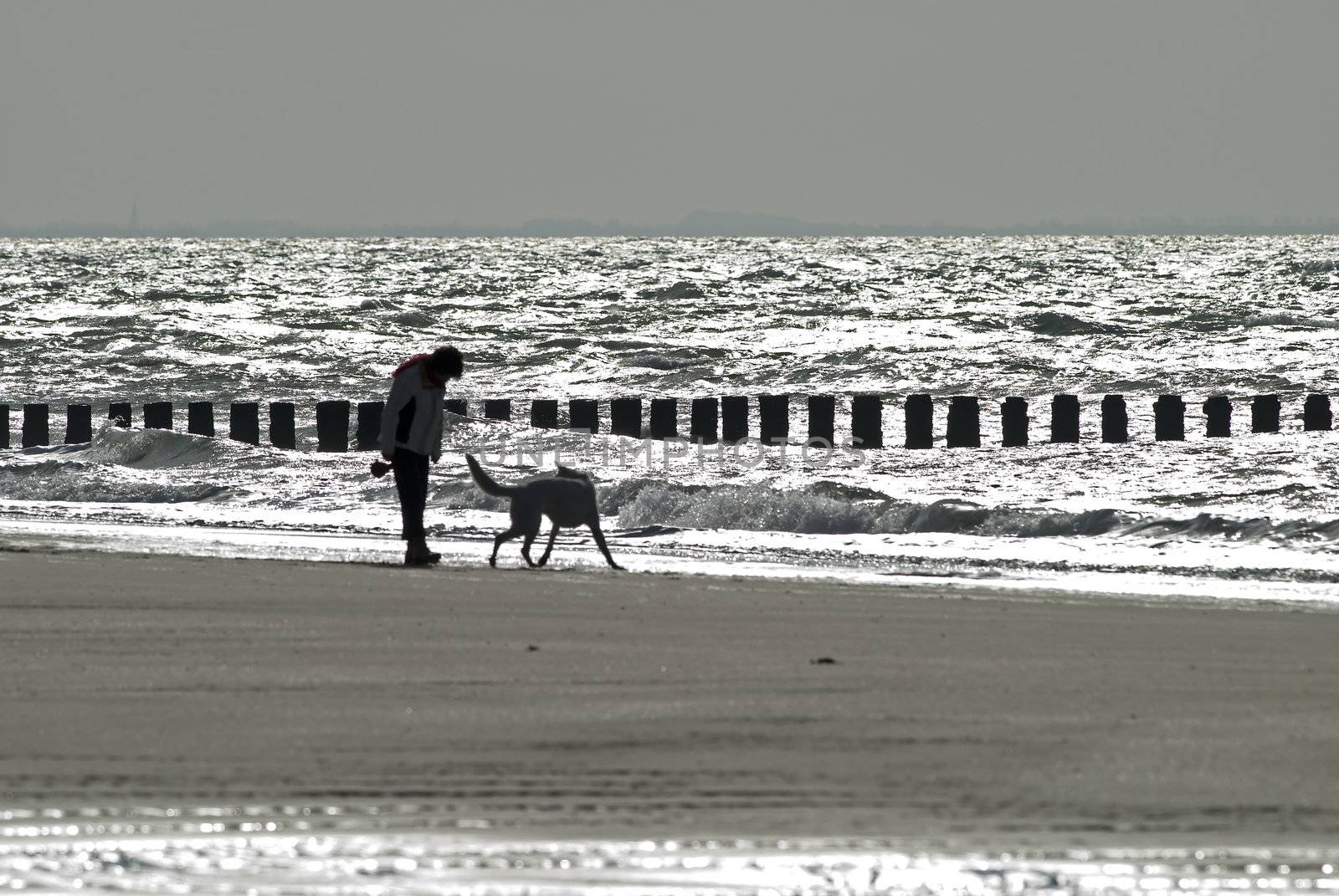 Woman and dog walking on the beach


