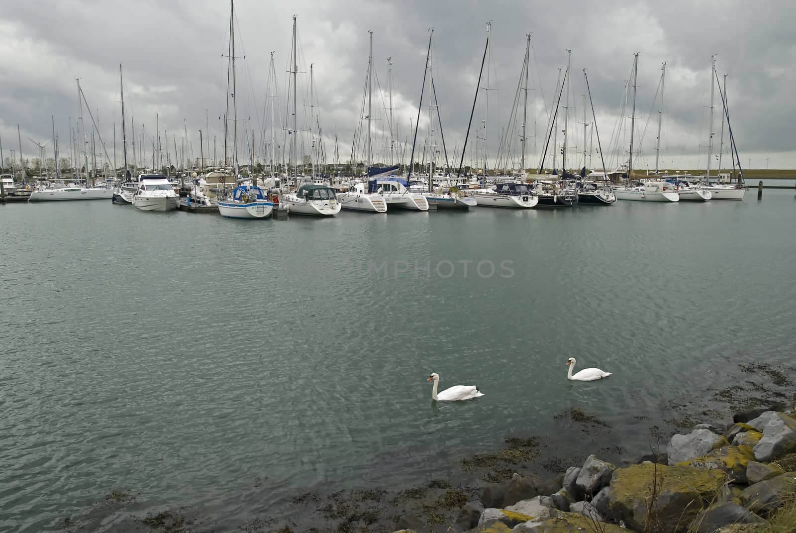 Yacht harbor by Gertje