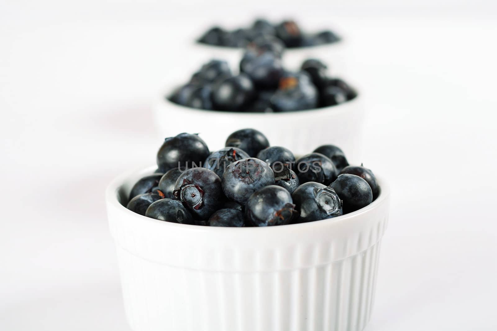 fresh blueberries level