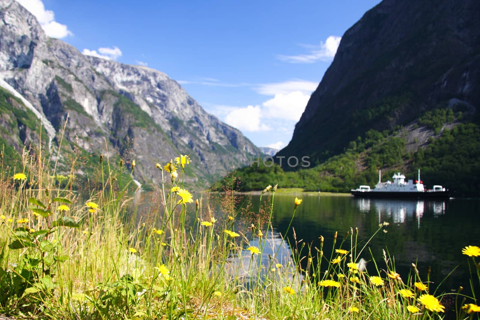 Ship on Naeroeyfjorden - a part of Sognefjorden, Norway. Unesco World Heritage site. Summer.