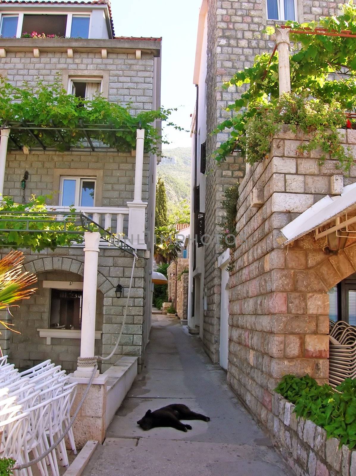 Street between stone houses by simply