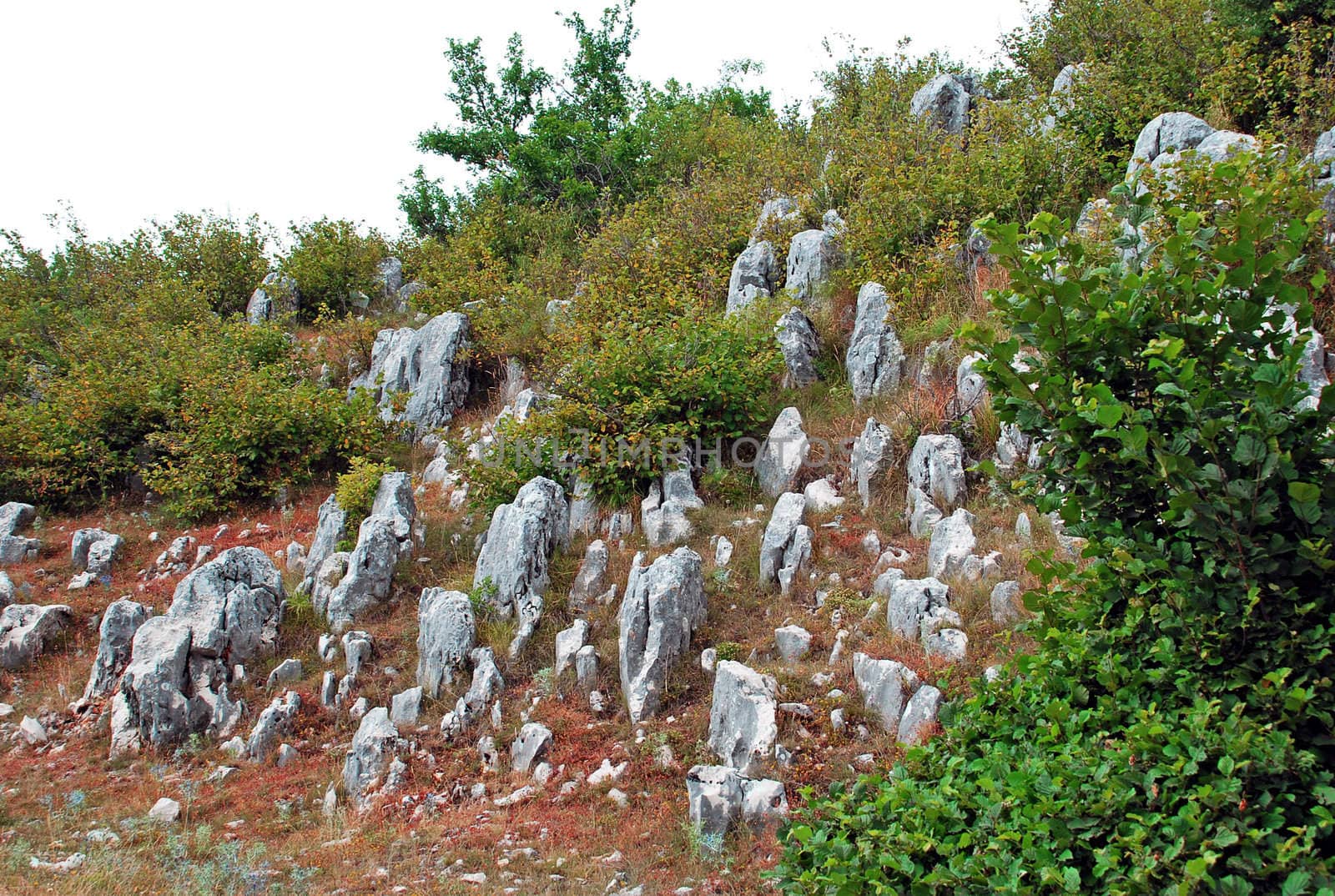 vertical rocks over red grass, mountain landscape