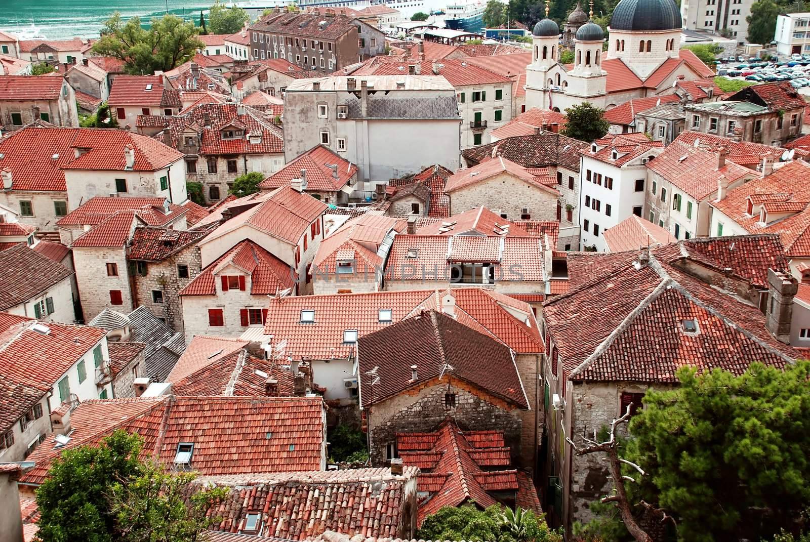 red roof od old town Kotor by Adriatic sea in Montenegro