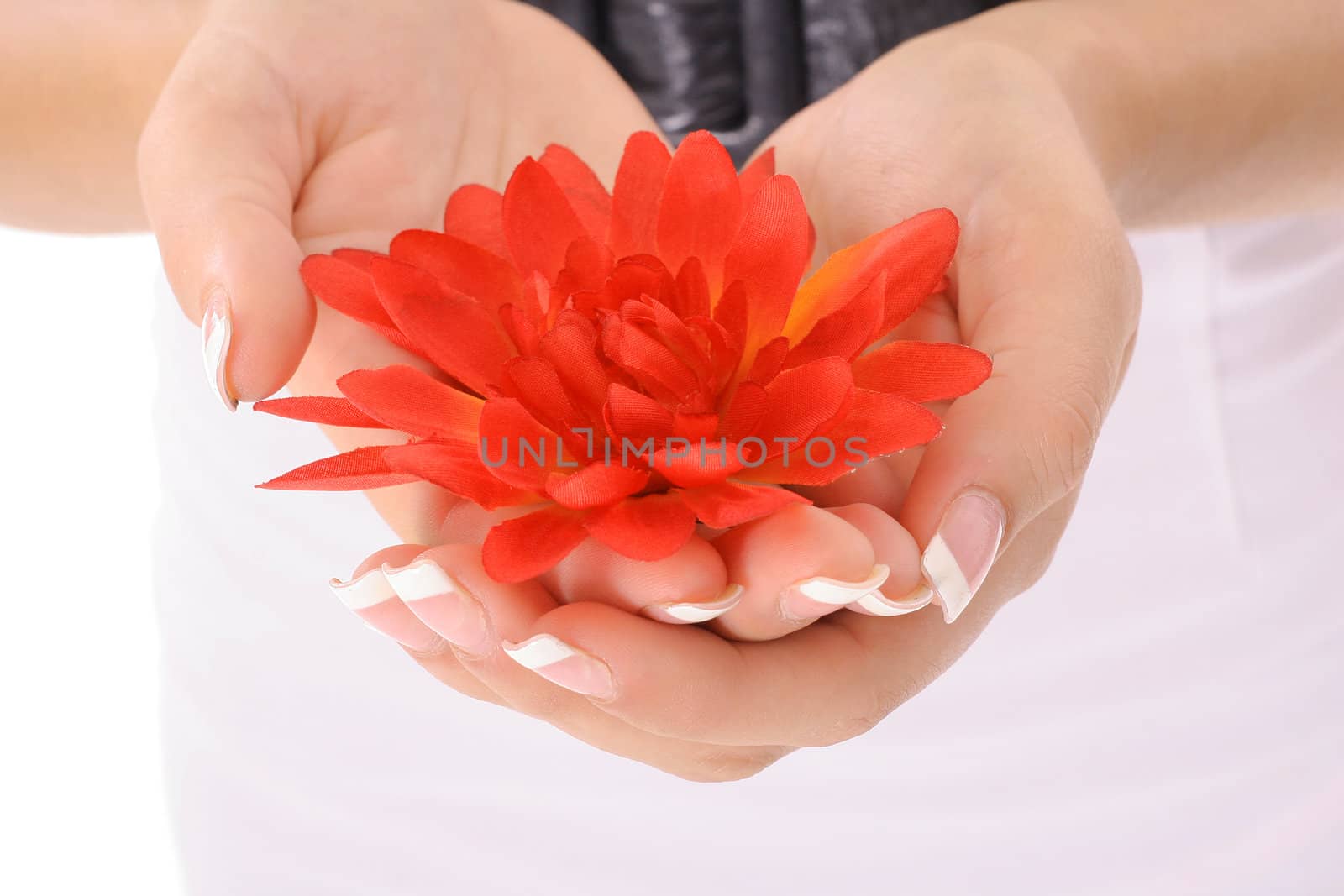 shot of beautifully manicured hands holding a flowers by creativestock
