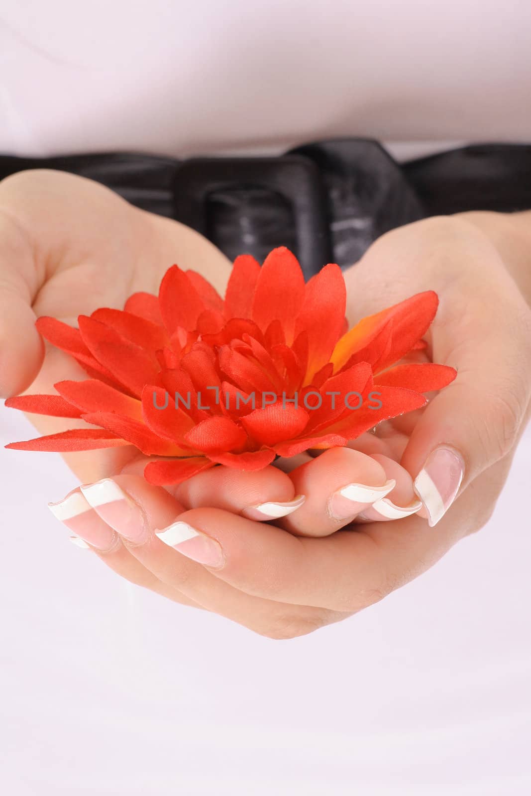 shot of beautifully manicured hands holding a flowers vertical by creativestock