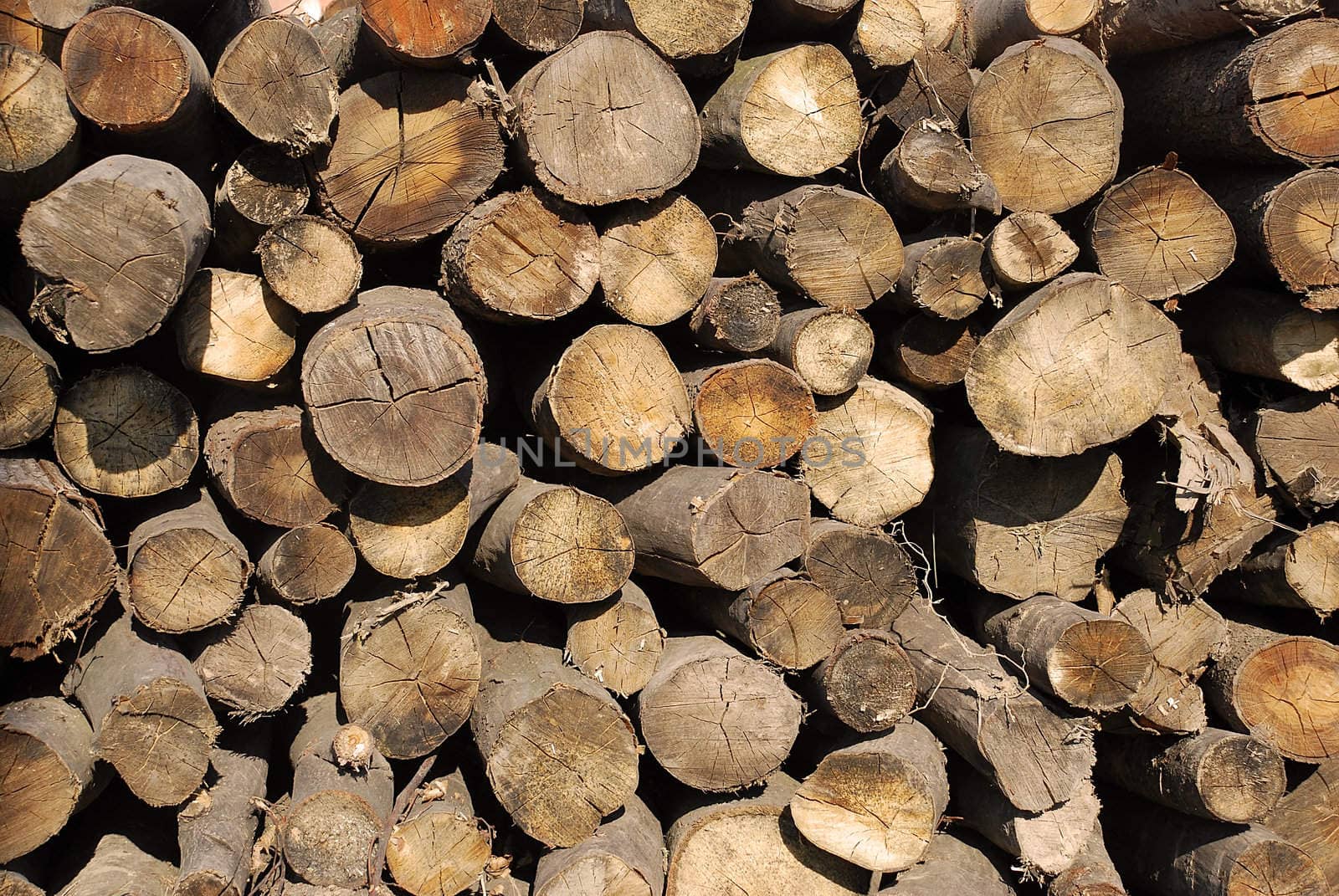 dry wood in pile outdoor background
