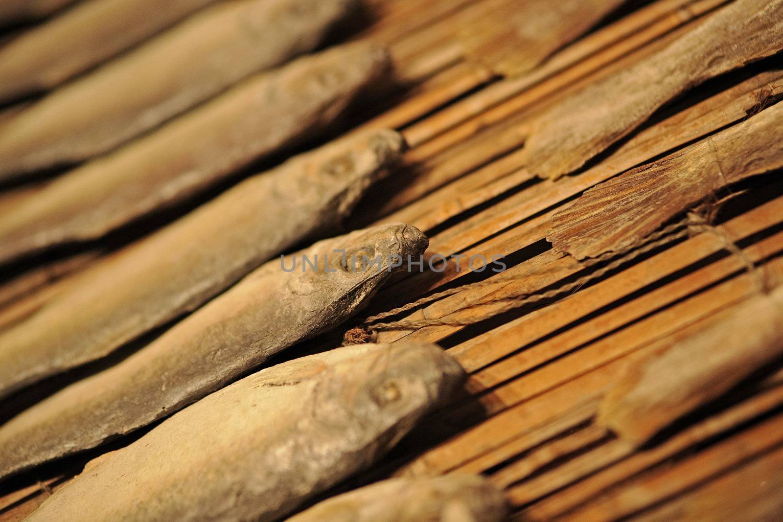 dried salt fish