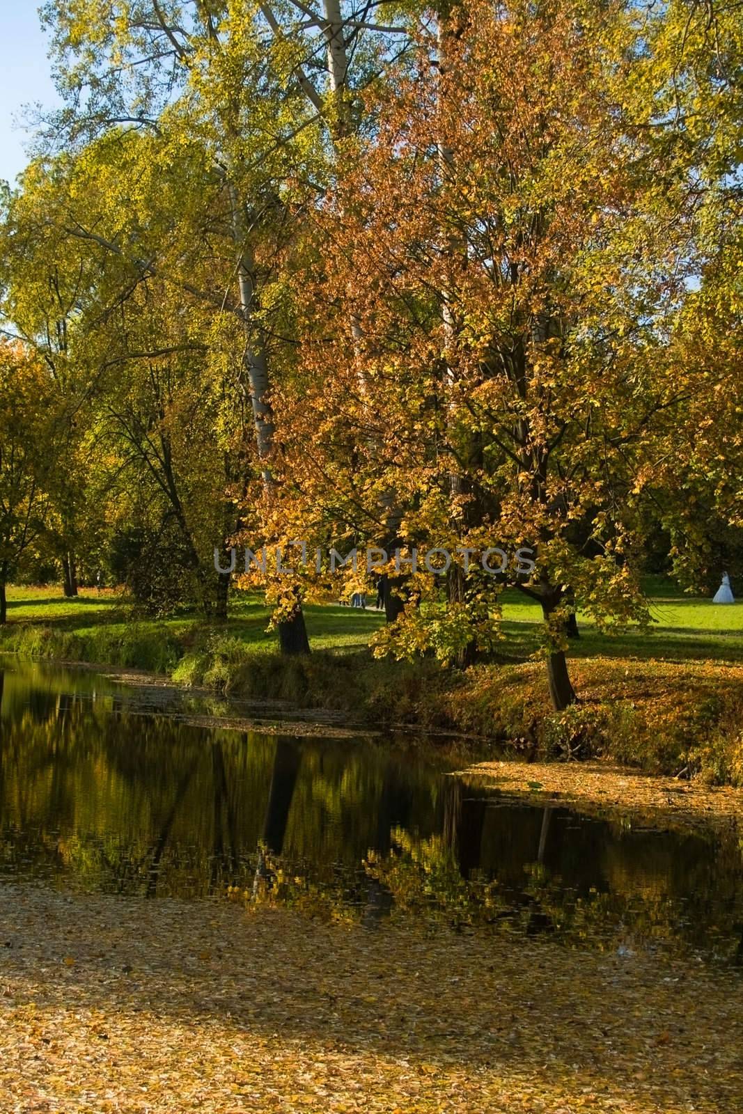 paysage with a lake 