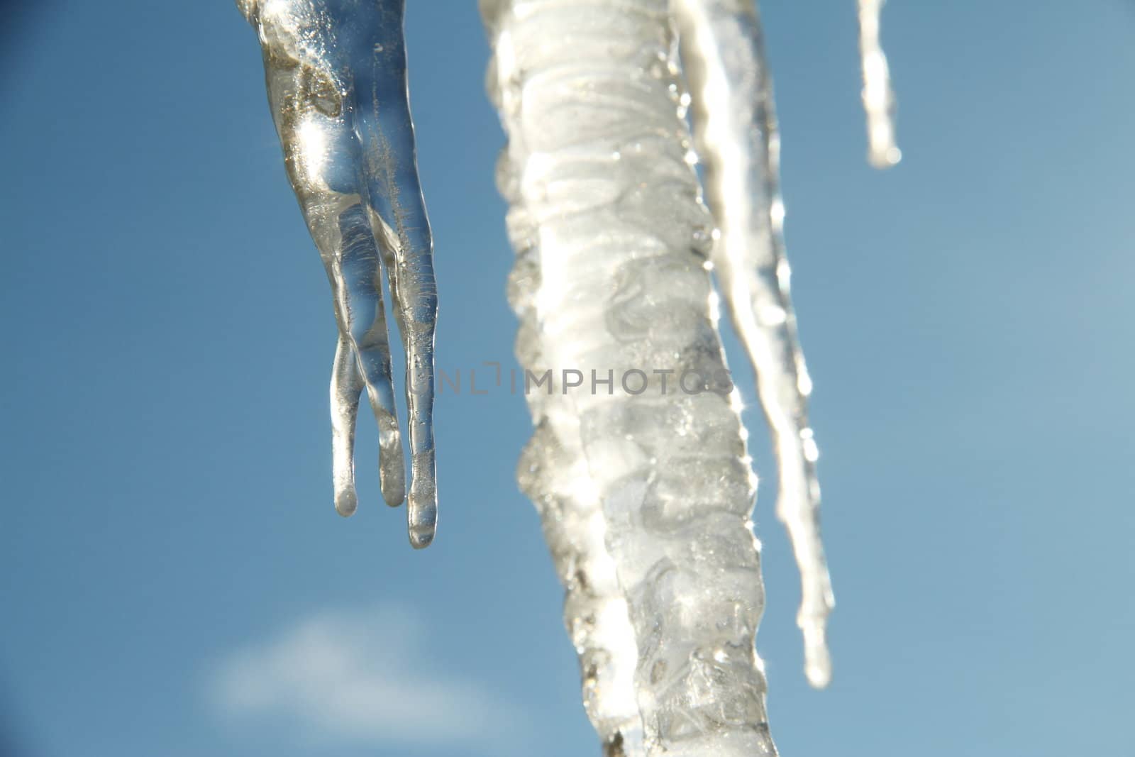 Icicle hanging against a blue sky with sunlight shinning through them.