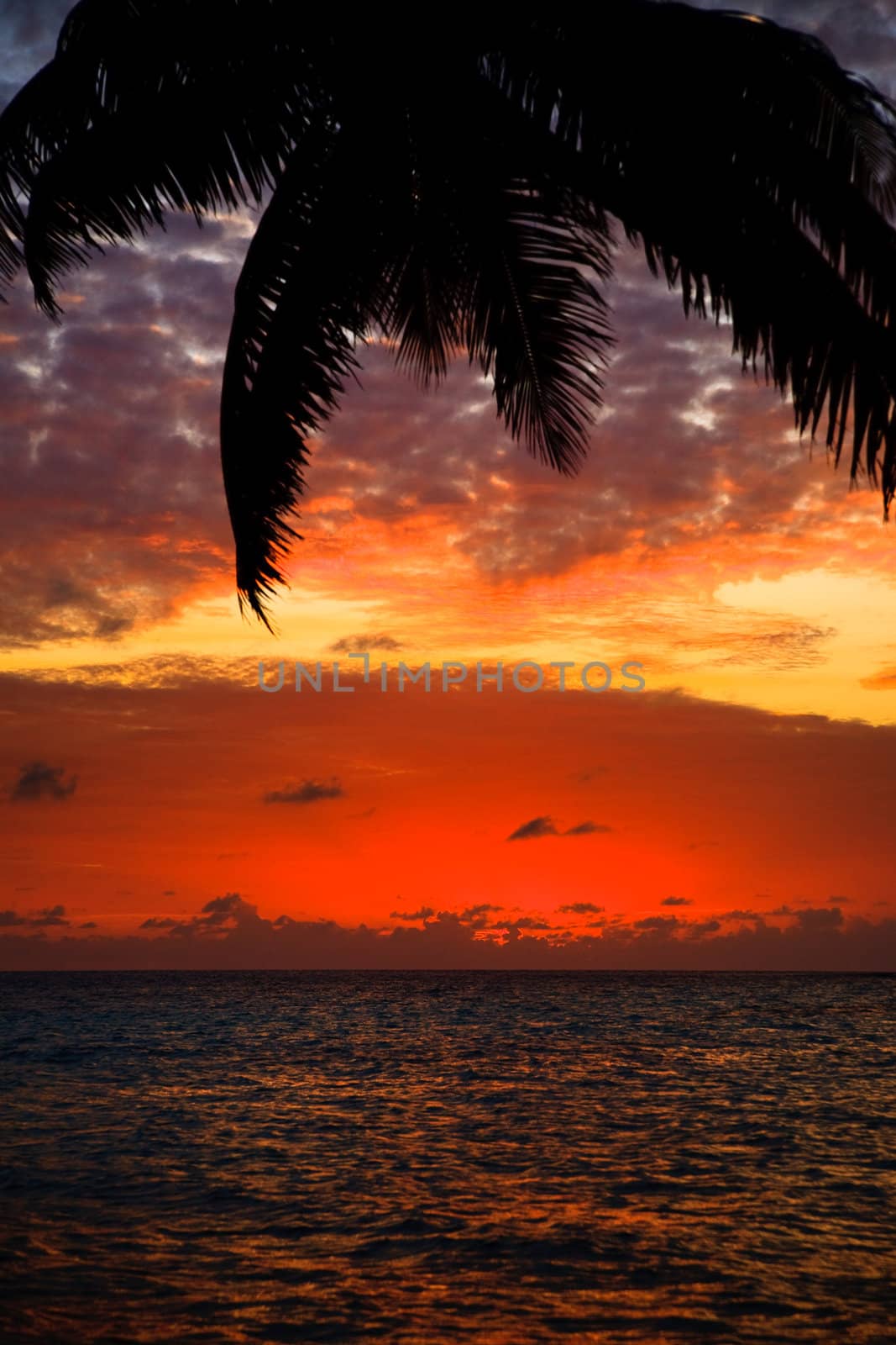 Maldivian Sunset by anobis