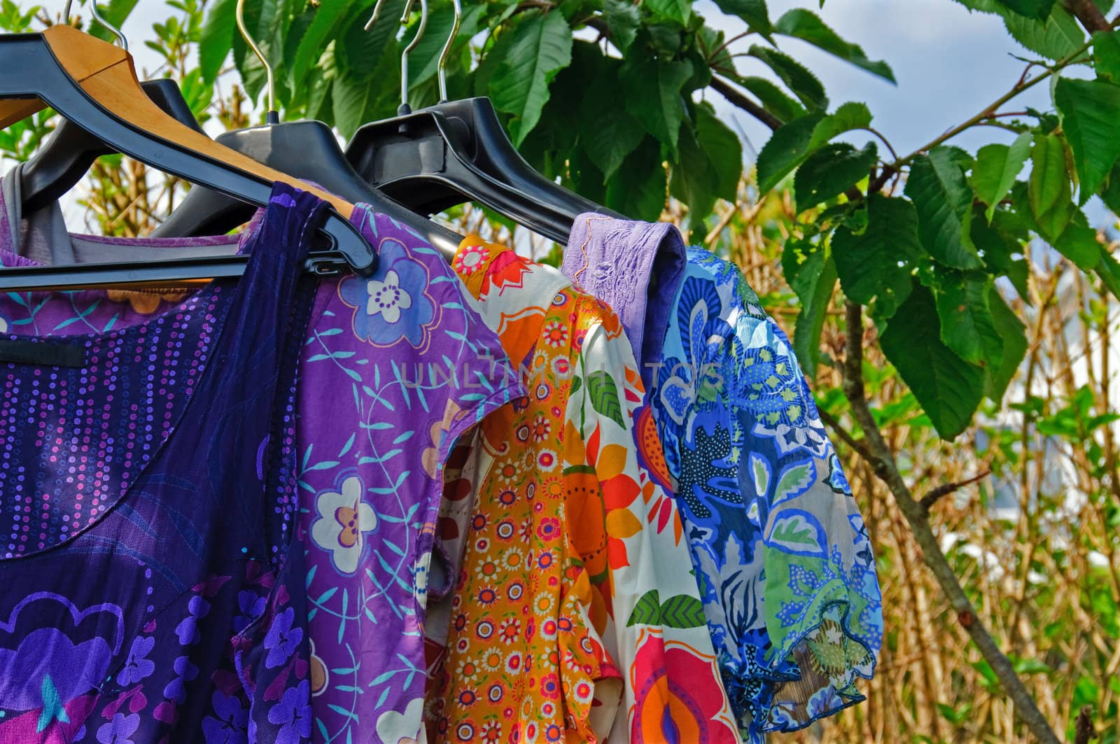 Summer dresses hanging in a garden