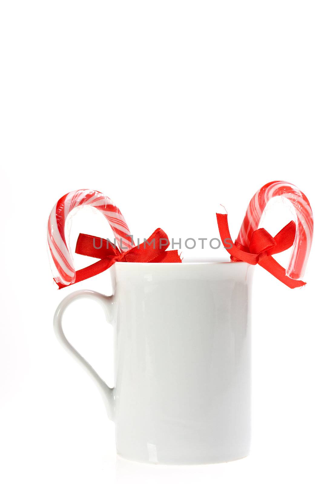 sugar canes in a white cup isolated