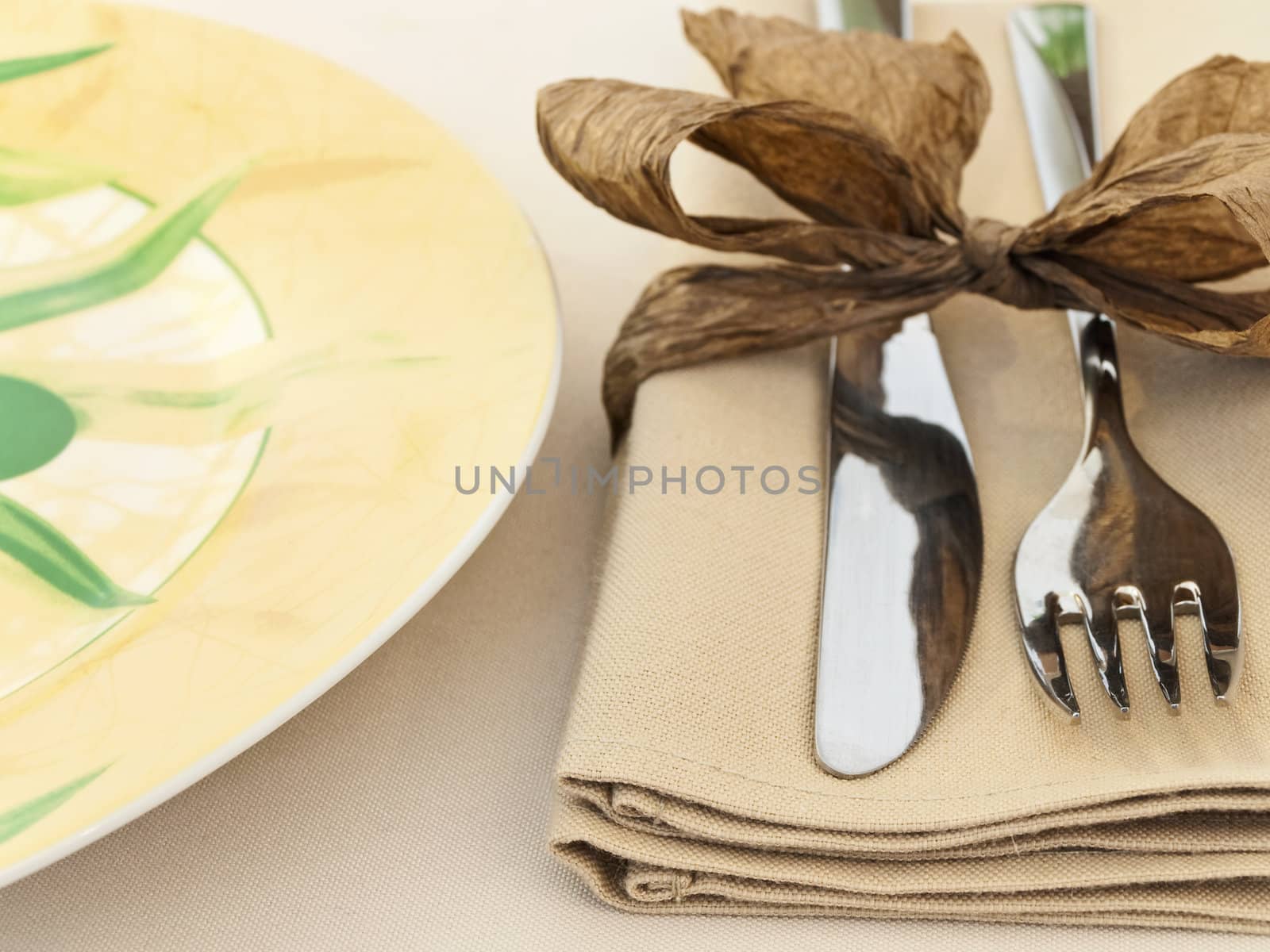 fork and knife with napkin near the plate